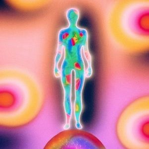 Meet your Posher, Faay